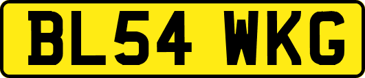 BL54WKG