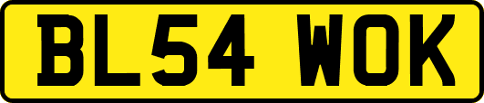 BL54WOK