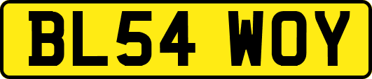 BL54WOY