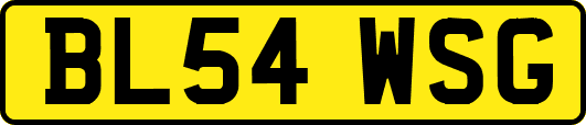 BL54WSG