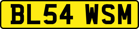 BL54WSM