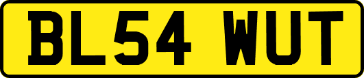 BL54WUT