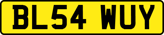 BL54WUY