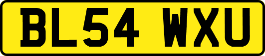 BL54WXU