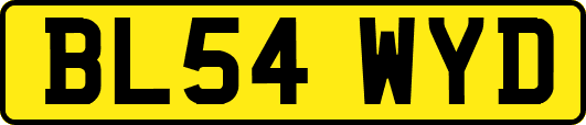 BL54WYD