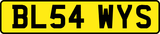 BL54WYS