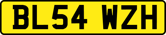BL54WZH