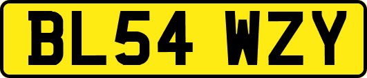 BL54WZY