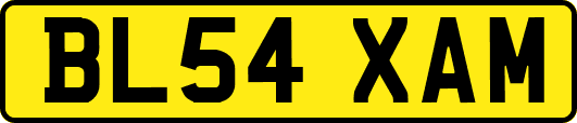 BL54XAM