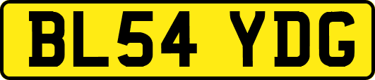 BL54YDG