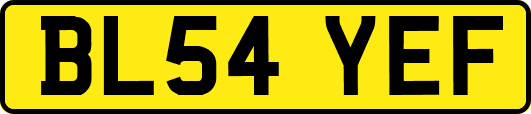 BL54YEF