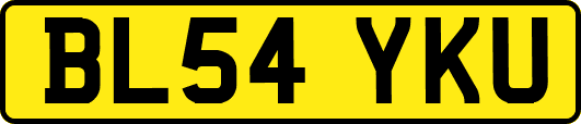 BL54YKU