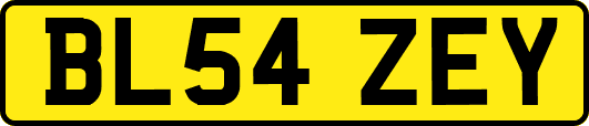 BL54ZEY