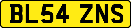 BL54ZNS