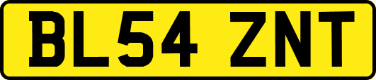 BL54ZNT