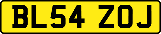 BL54ZOJ