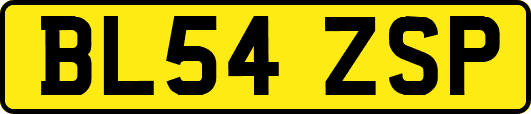 BL54ZSP