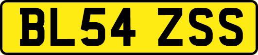 BL54ZSS