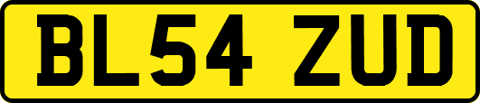 BL54ZUD
