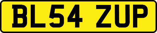 BL54ZUP