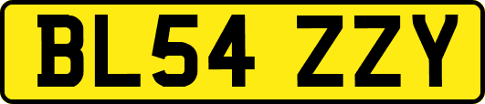 BL54ZZY