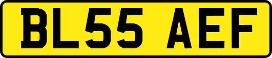 BL55AEF
