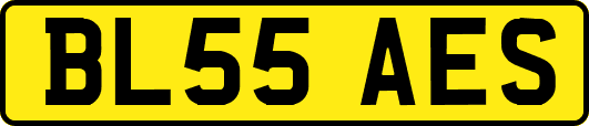 BL55AES