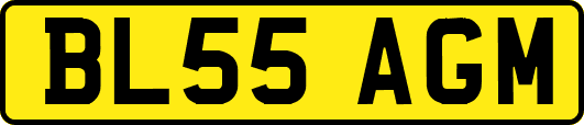BL55AGM