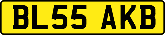 BL55AKB