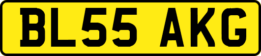 BL55AKG