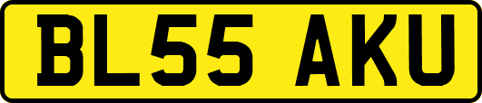 BL55AKU