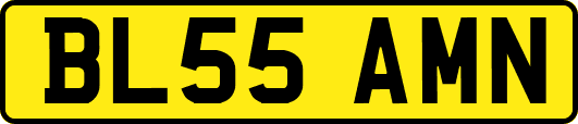 BL55AMN