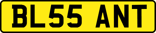 BL55ANT