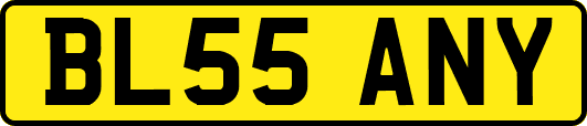 BL55ANY