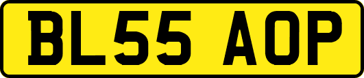 BL55AOP