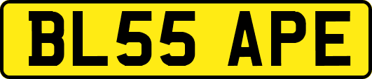 BL55APE