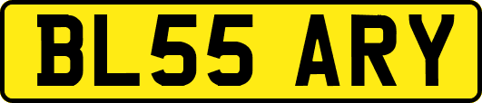 BL55ARY