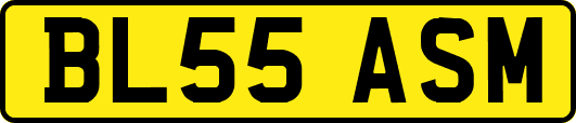 BL55ASM