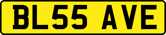 BL55AVE