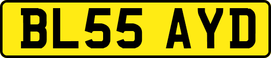 BL55AYD