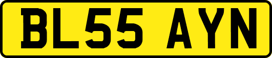 BL55AYN