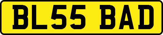 BL55BAD