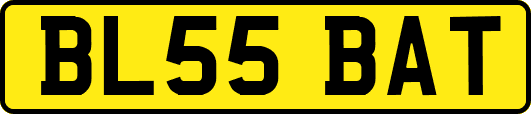 BL55BAT