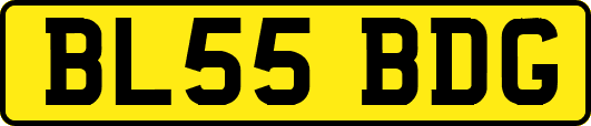 BL55BDG