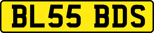 BL55BDS