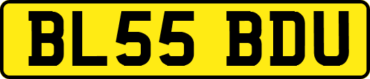 BL55BDU