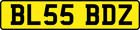 BL55BDZ