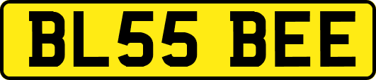 BL55BEE