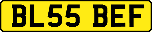 BL55BEF
