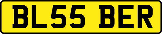 BL55BER